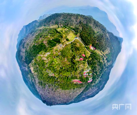 科普直播｜帶您走進廬山植物園的春天
