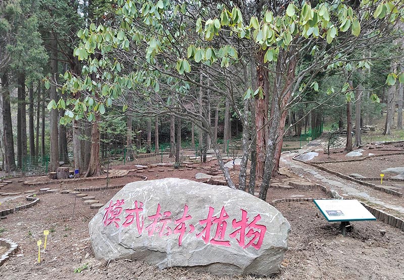  廬山模式標本植物專類園
